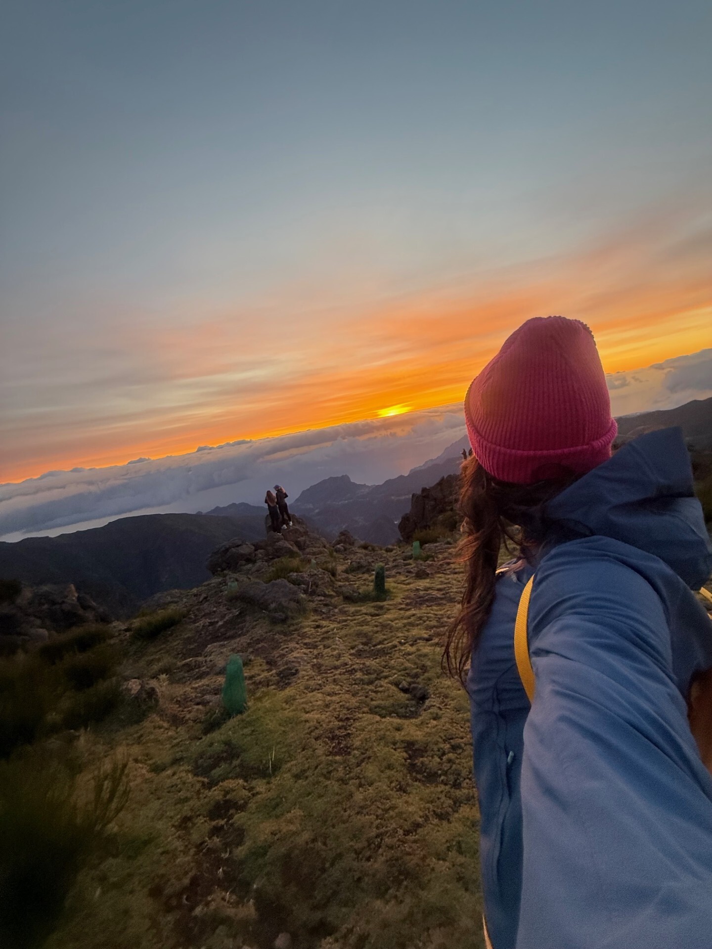 dbfc722a 7fb2 4352 acbe dcef5ff6d423